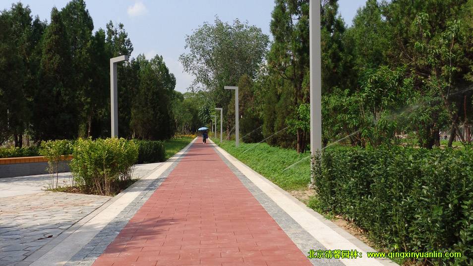 四环路绿化工程